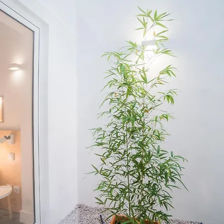 Apartment Wood & Garden